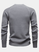 Theodore - Textured Raglan Sleeve Sweater