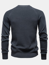 Theodore - Textured Raglan Sleeve Sweater